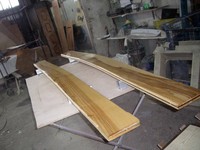 new plank - February 2009